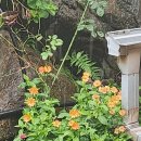 정원가든민박 이미지