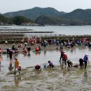 학명 1-221 바지락 희망 정격 단시조/반산 한상철 이미지