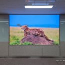 기독간호대학교 이미지