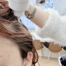 에이바헤어 성안길점