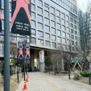 펫플릭 | 퍼플릭 가산 다이소 구경 안동사과 카라멜 후기