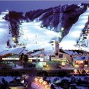 대명리조트 이미지