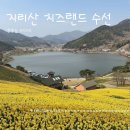 구만제 이동식 | 노란 수선화 물결과 호수의 조화, 지리산치즈랜드 주차 꿀팁&amp;실시간 개화 후기
