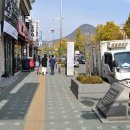 세종한울길 이미지