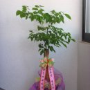 상신상사 이미지