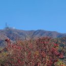 모악산도립공원 이미지