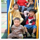 단양 새싹 어린이집 이미지