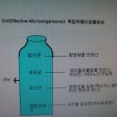 저의 텃밭농사 방법(EM활용) 이미지