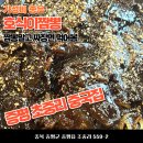 증평 중국집 호식이짬뽕 내돈내산 후기