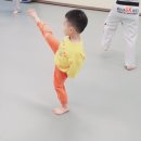 용인대 SK 태권도 이미지