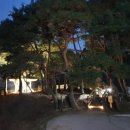 새들보체육공원 이미지