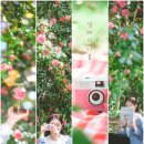 설레이나봄