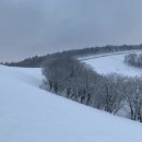 이도목장 이미지