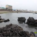 내도알작지 이미지