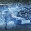 소달구지 - 북구 북문대로242번길 7 | 소달구지