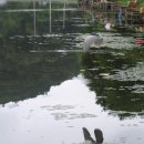 칠리제 낚시터 이미지