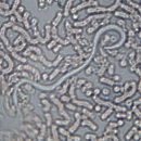 월드펫동물병원 이미지