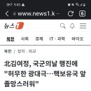 여정아 서울강남와서 광대뼈나 깍고가라 이제 오물풍선보내지말고 이미지