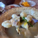 너구리의 피난처 이미지