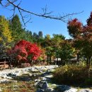 방화근린공원 이미지