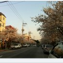 주문진중학교 이미지