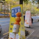 [전주 아중리] 탕후루 맛집 _ 와따탕후루 통귤탕후루 후기
