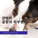푸른숲 동물병원 이미지