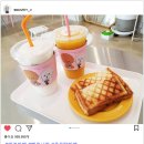 벨르시앙 | 벨르시앙, 마산 애견카페 다녀온 후기