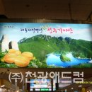 동양애드컴
