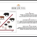 정원카츠 이미지