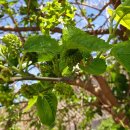 수원화성오산축산농협 동물병원 이미지