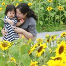 단란한 황새가족 이미지