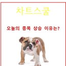 (주)디와이에스엠 이미지