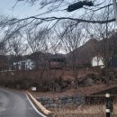 개울가펜션 별관 | 충북 옥천]장령산자연휴양림 예약방법 및 단체 인원 30명이용 가능한 소나무방 이용 후기