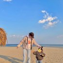 손연재 카카오 검색결과