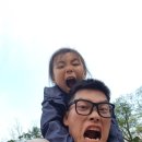 파피루스 캠핑장 이미지