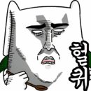 미스터보쌈 이미지
