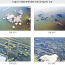 (주)바이오코리아 이미지