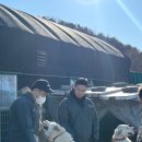 오케이자원 | 부산시청헬스장 오케이피트니스 사랑이네 유기동물 보호소 봉사활동 다녀오다