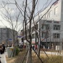 마곡새봄약국 이미지