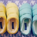 베니스짐 이미지