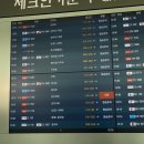 단정하개 | 3박4일 마쓰야마 여행기 1탄