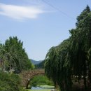 영산 만년교 이미지