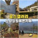 소양 오스갤러리 카페 드라이브 하기 좋은 완주 카페