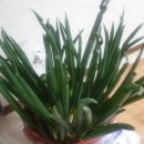 마더농장 이미지