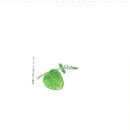라룬벌트