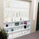 안나의눈썹 이미지