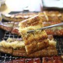 시인과바다민물장어