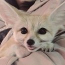 예람중학교 | 어느덧 2월