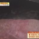 양지로8L 이미지